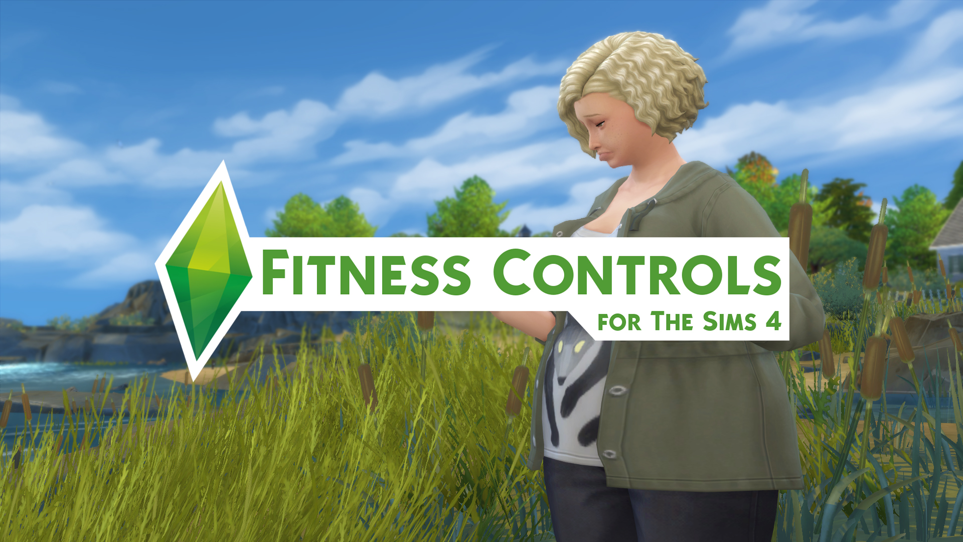 Sims 4 Fitness Controls Mod The Sims Book