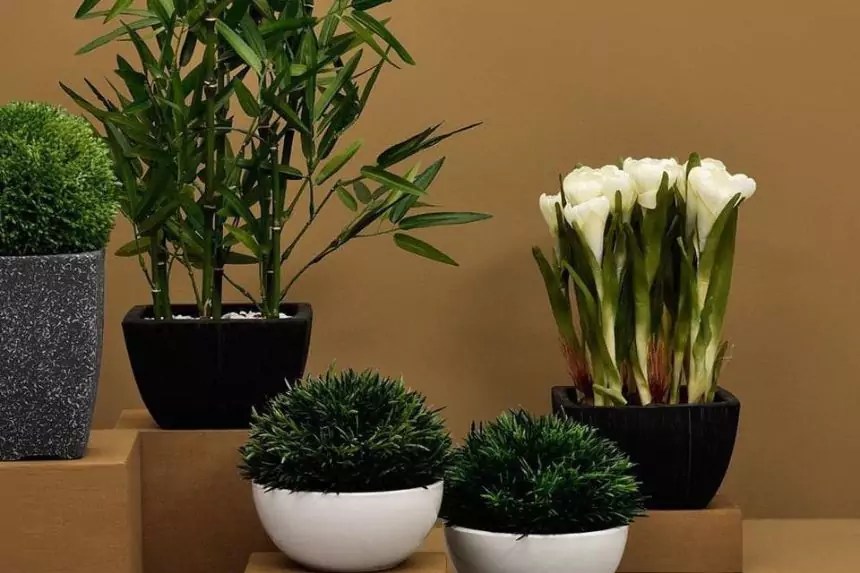 Explore The Best Artificial Indoor Plants For A Lifelike Green Space