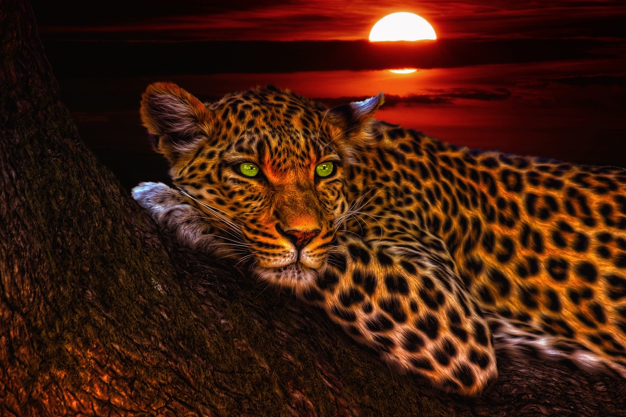 A LEOPARD NEVER CHANGES HIS SPOTS The African Hut