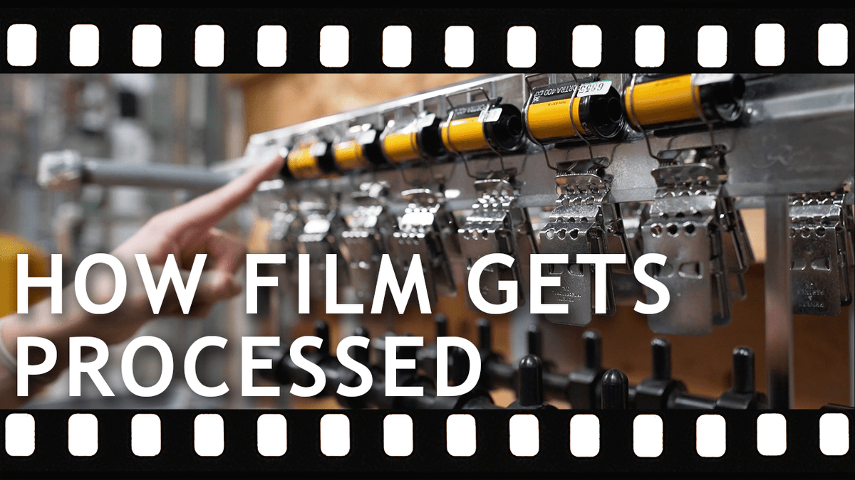 How Film Gets Processed The Slanted Lens