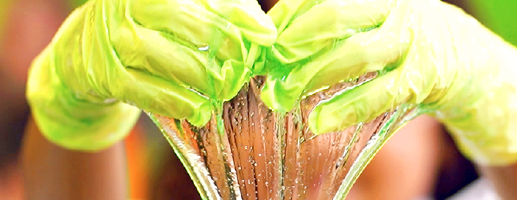 Contact Us The Slime Factory