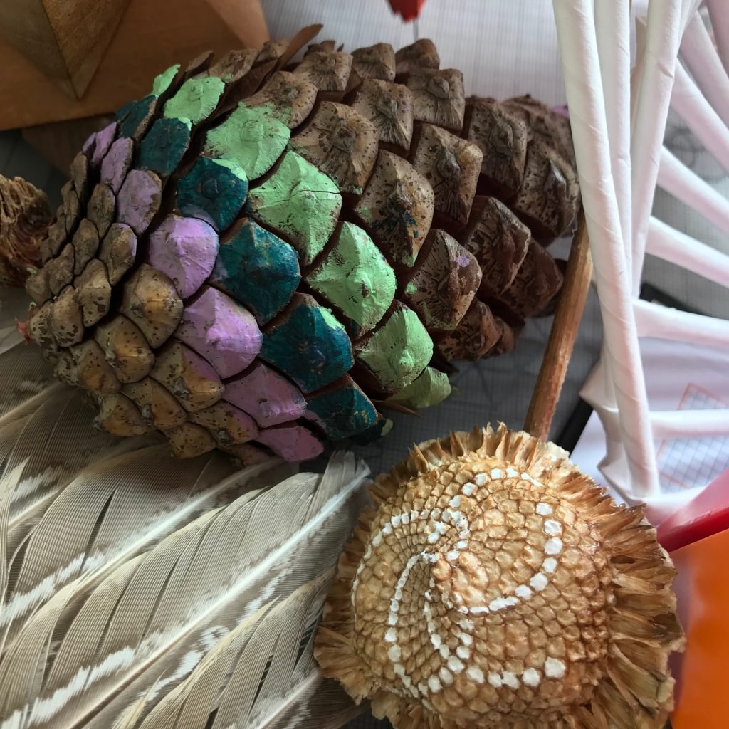 Spirals in Nature The Smart Happy Project