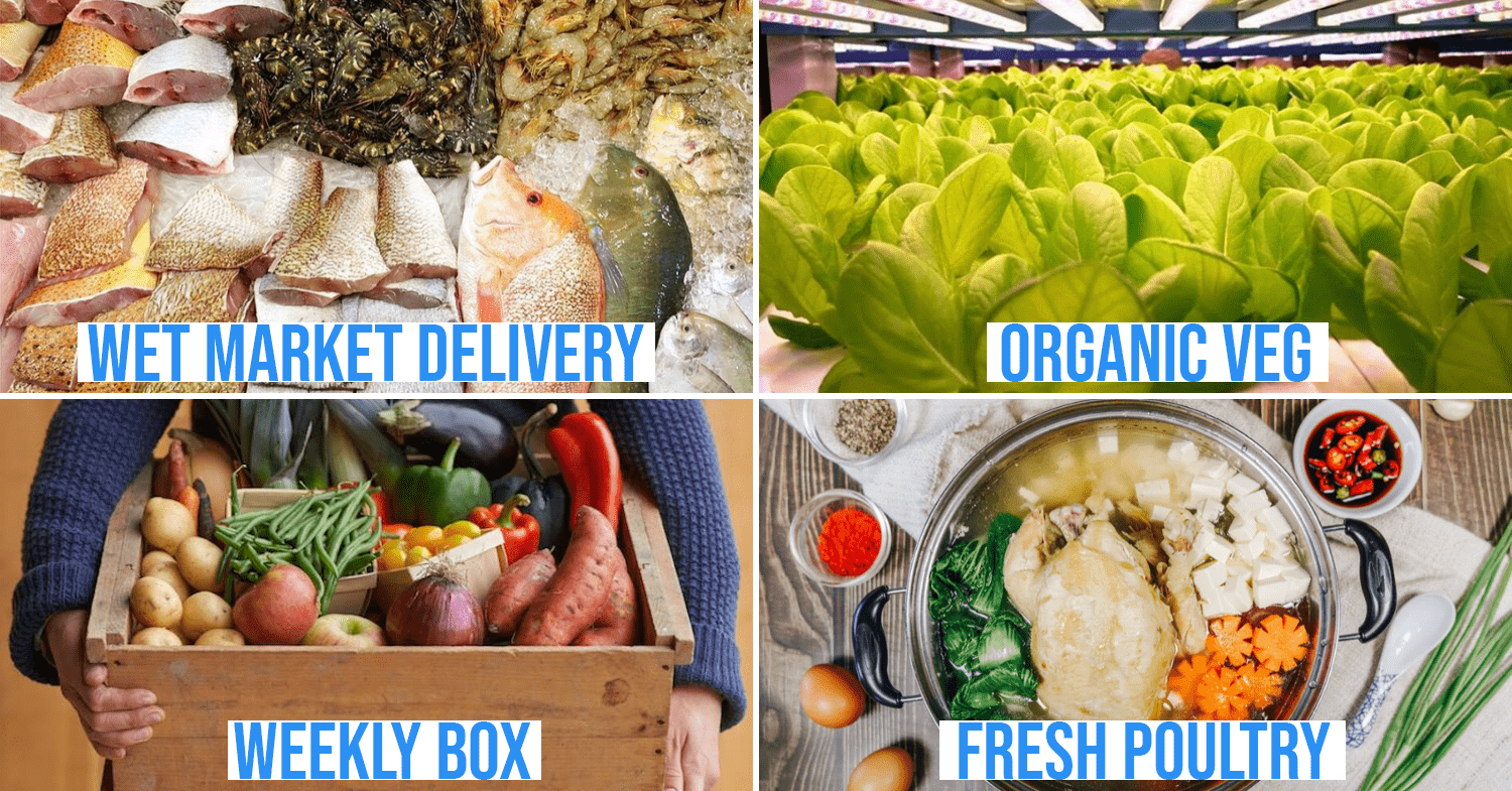 9 Online Stores For Fresh Produce Delivery Without Wet Market Crowds