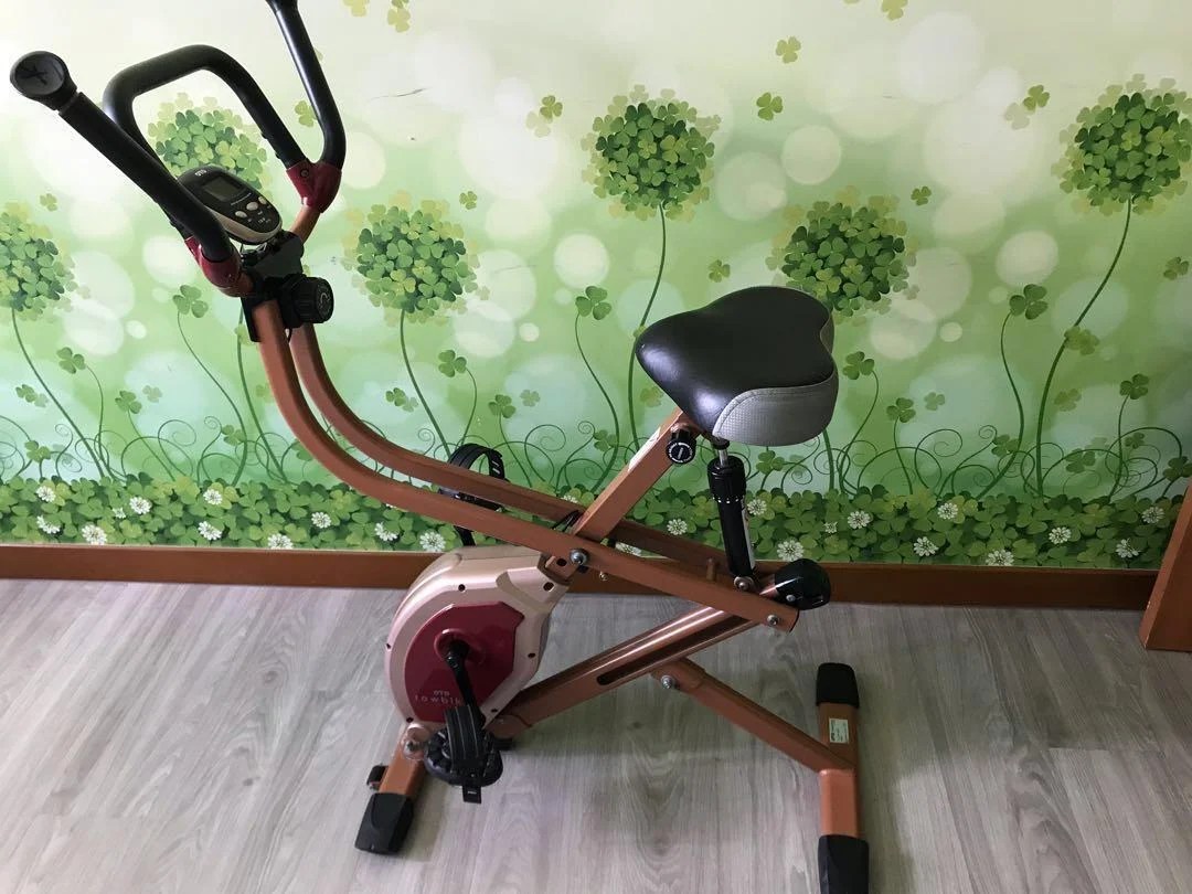 8 Best Exercise Bikes For Spin Workouts & Leg Day At Home
