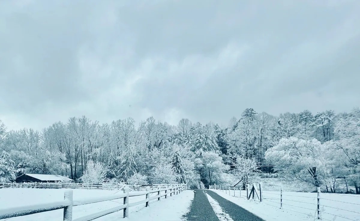 Where To See Snow In Tennessee