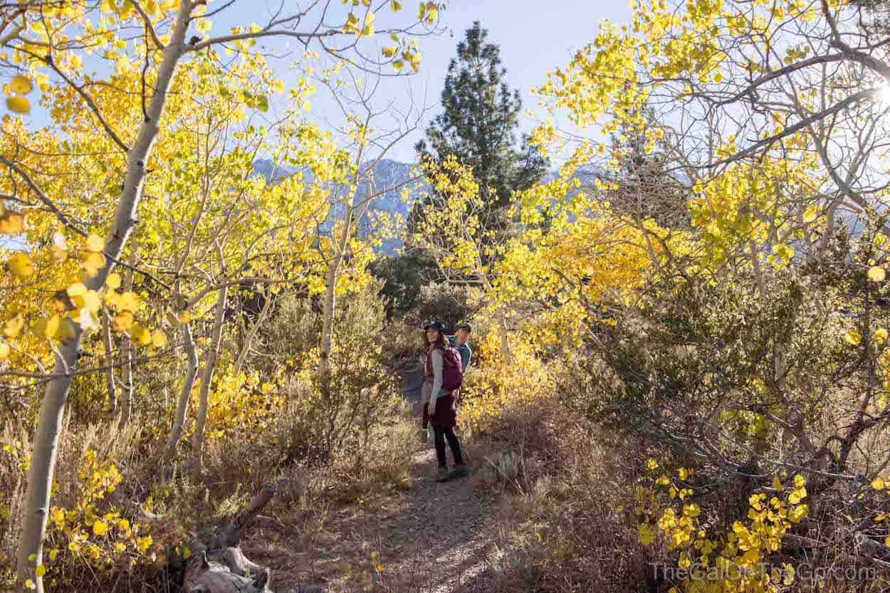 Best Places To See Fall Colors In California The SoCal Gal
