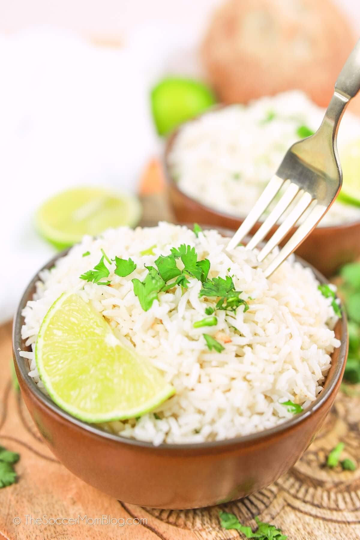 Easy Coconut Rice (w/ Instant Pot Recipe) The Soccer Mom Blog