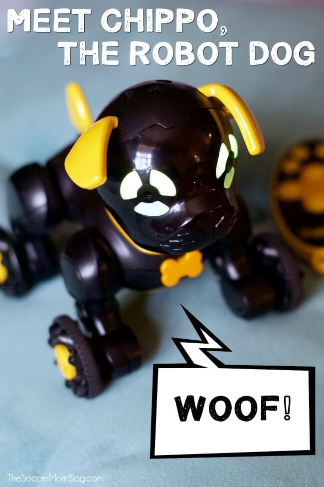 What it's Like to Adopt a Chippies Robot Dog The Soccer