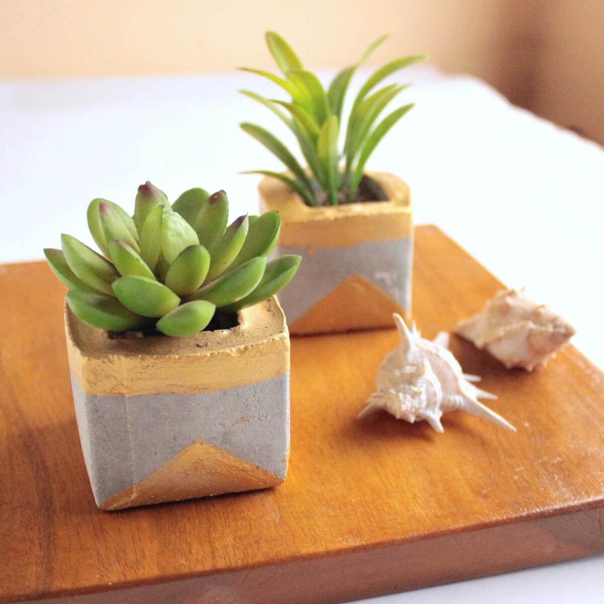 DIY Gold & Concrete Succulent Planters The Soccer Mom Blog