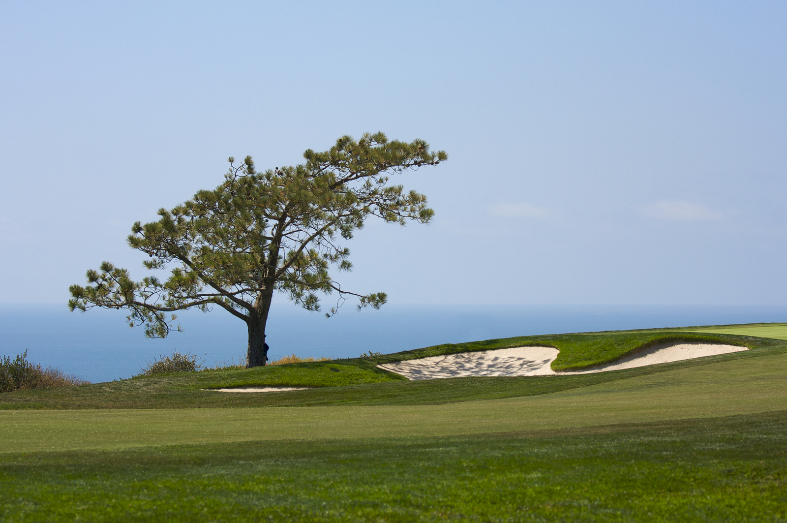 Don't Miss The Farmers Insurance Open At The Iconic Torrey Pines Golf