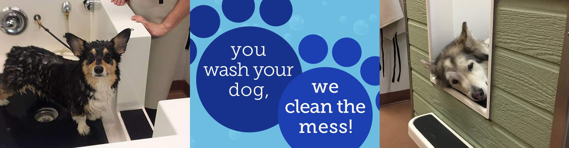 The Soggy Dog Pet Groomers & Pet Supply Store Henderson, NV