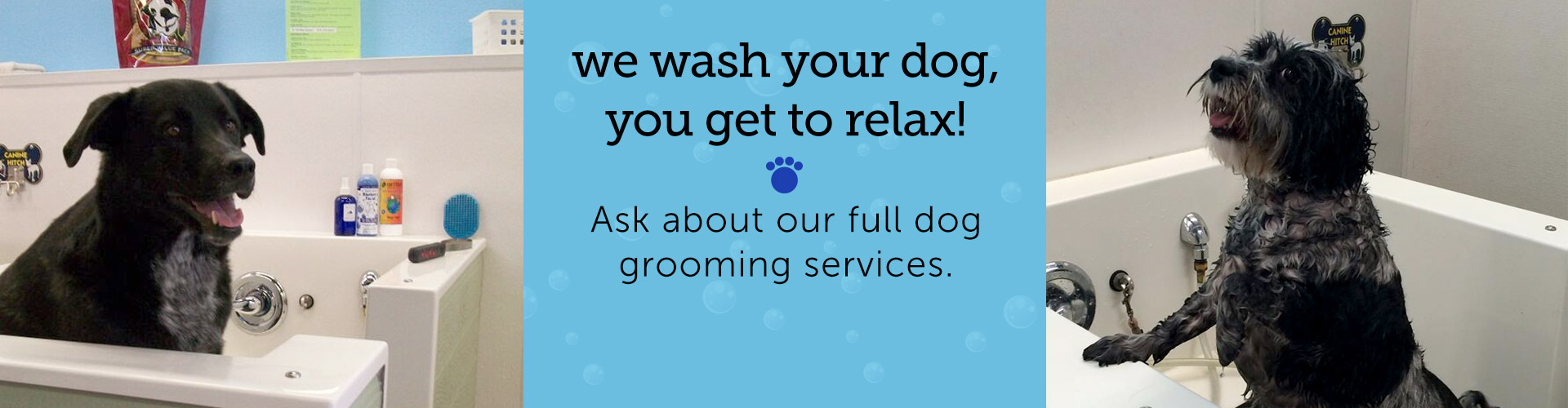 Grooming in Henderson, NV Dog and Pet Grooming Service