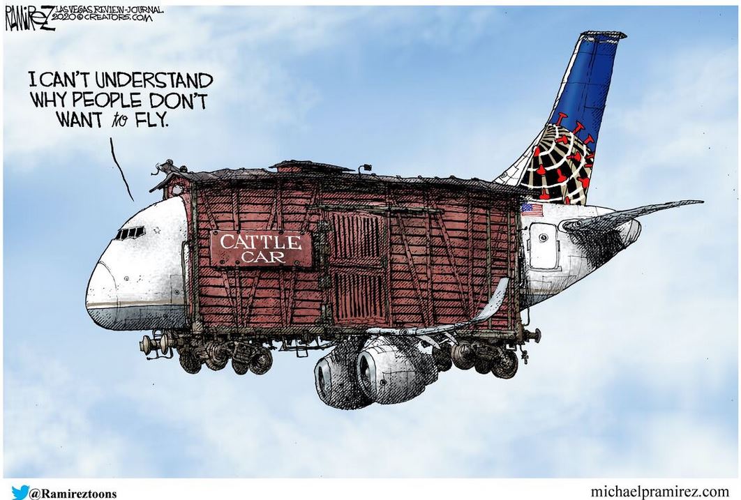 Image Cattle Air The Sounding Line