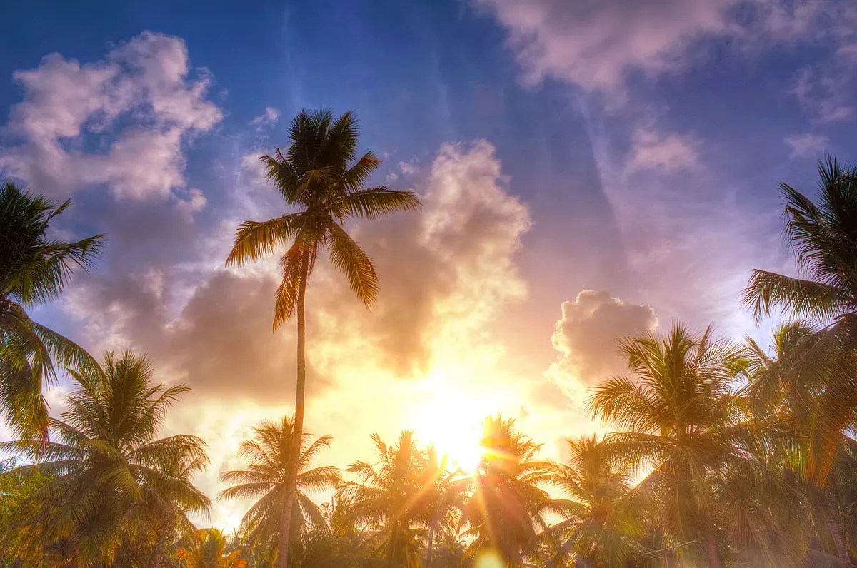 Heat waves in Kerala as oceans warm up and rains fail to bring down