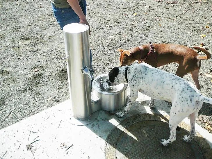PAWS Dog Park Opens in SW