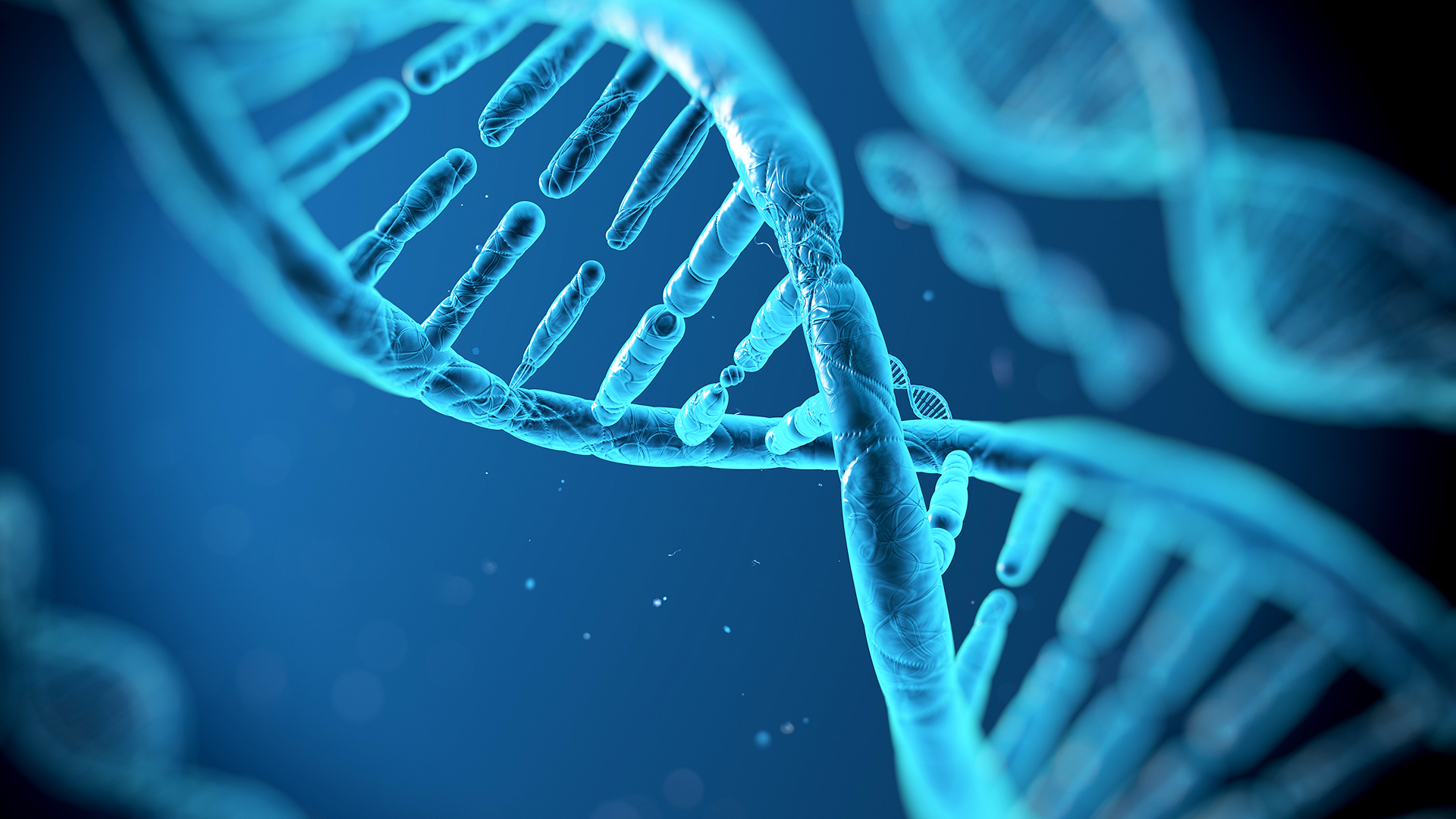 Personalizing Food, Directed by Your DNA