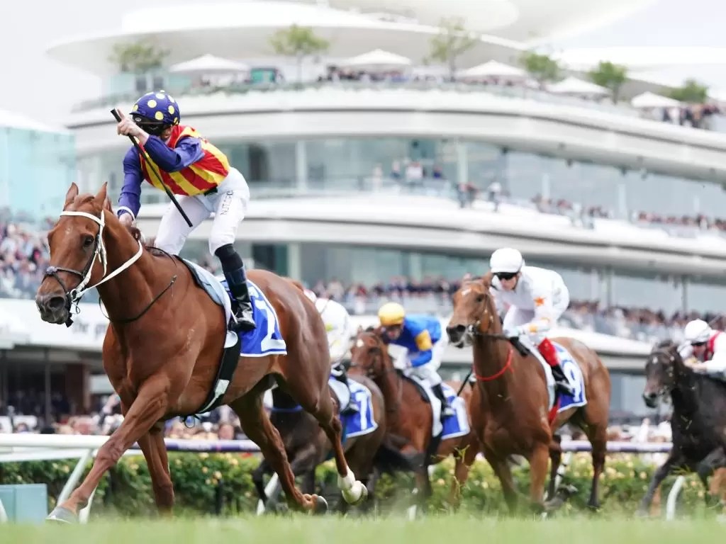 Darley Sprint Review What The Jockeys Said The Sporting Base