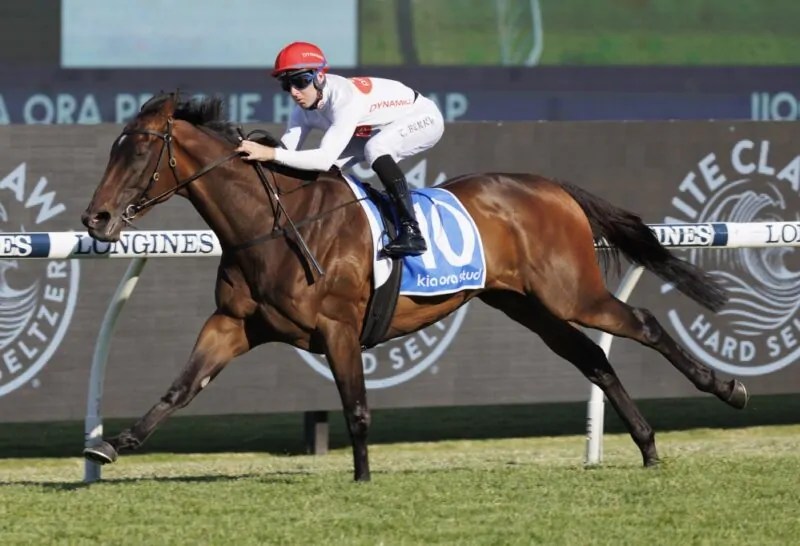 Black Book Horses You Must Follow From Rosehill 3/12 The Sporting Base