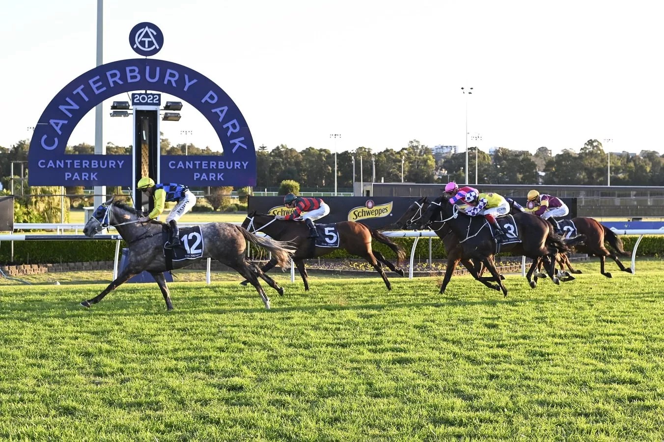 FREE Canterbury Tip Sheet & Staking Plan Wednesday 24th July The