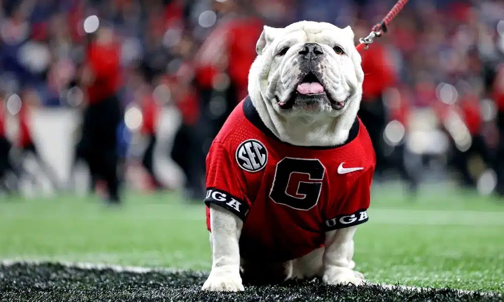 Mascot UGA X AKA "Que" Dead at 10