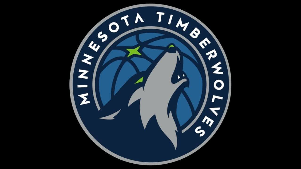 Who is Minnesota Timberwolves coach Chris Finch, bio, age, height, wife