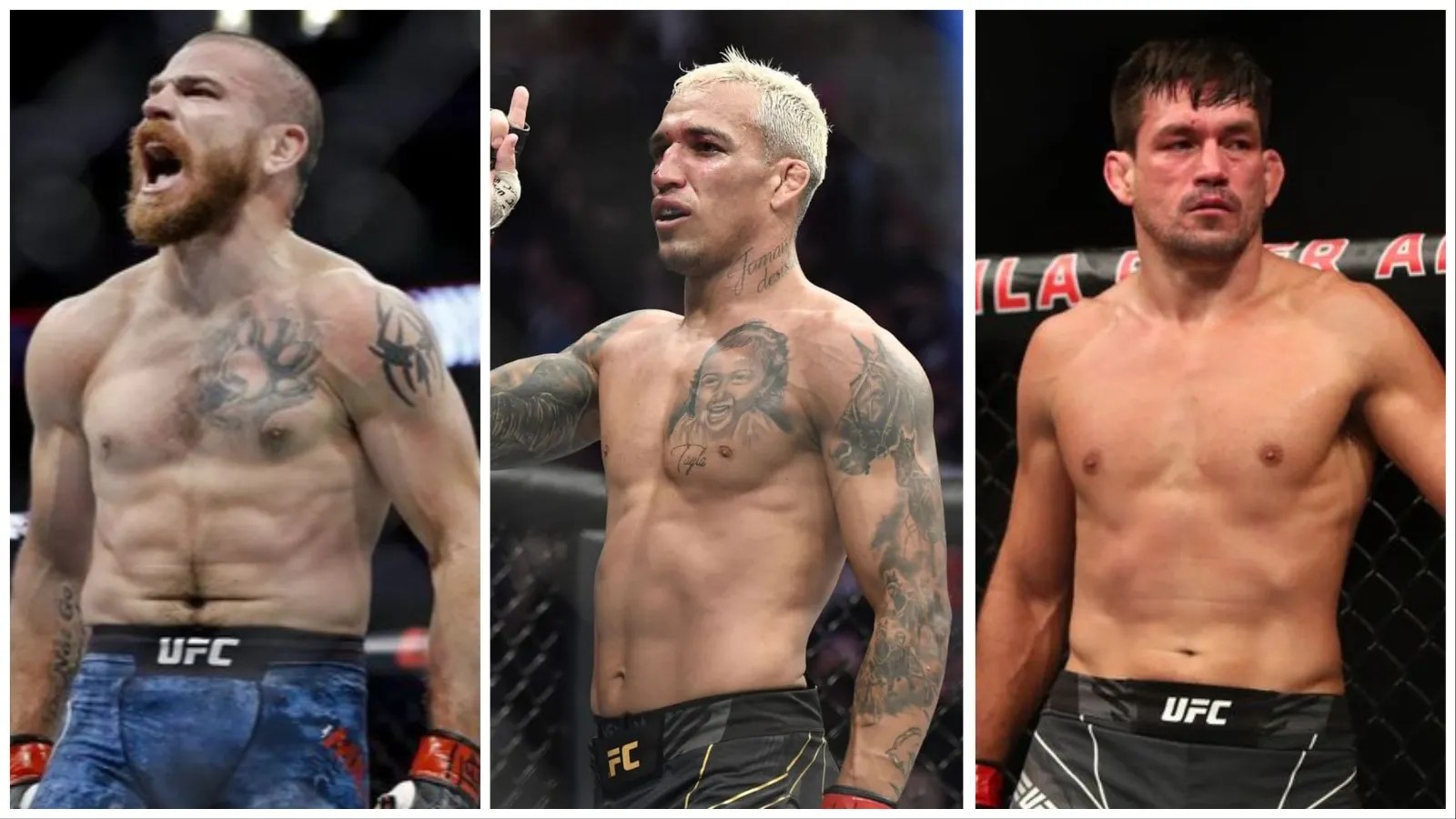 Top 5 fighters with the most submission wins in UFC history