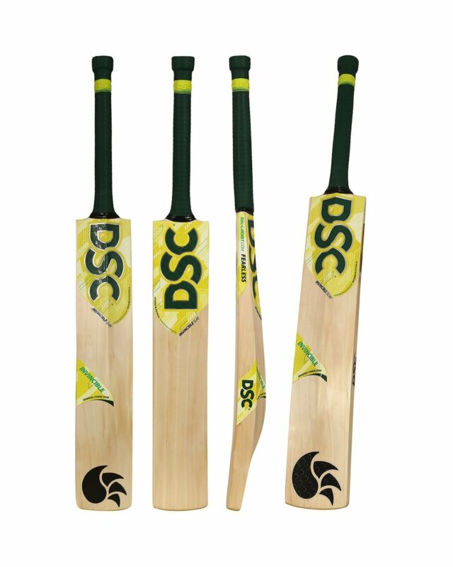 DSC Invincible Slay Cricket Bat The Sport Shack