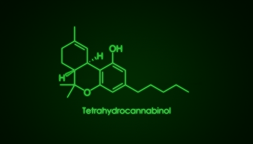 How Long Do Edibles Stay In Your System? The Spot 420 Dispensaries