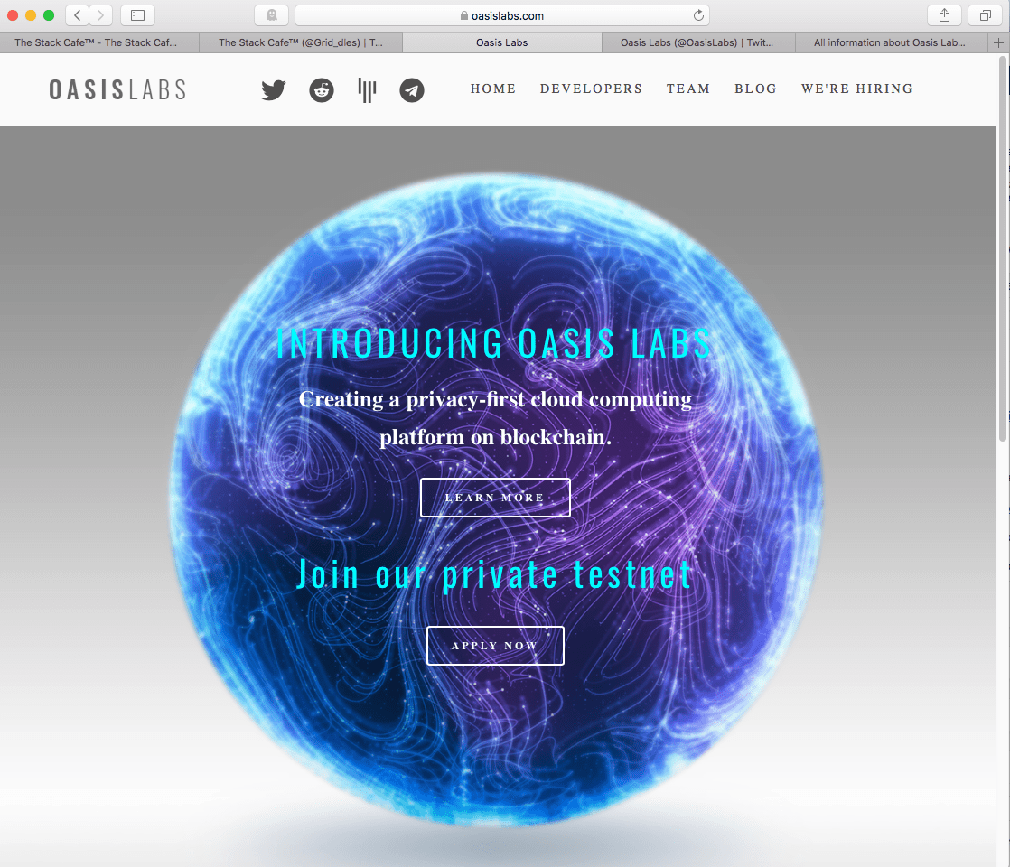 Oasis Labs is an interesting new project in the blockchain stack. The