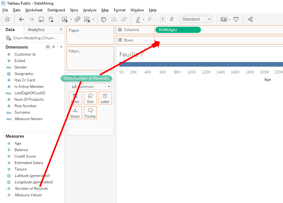 Create Bins and View Distributions • THE stephane ANDRE