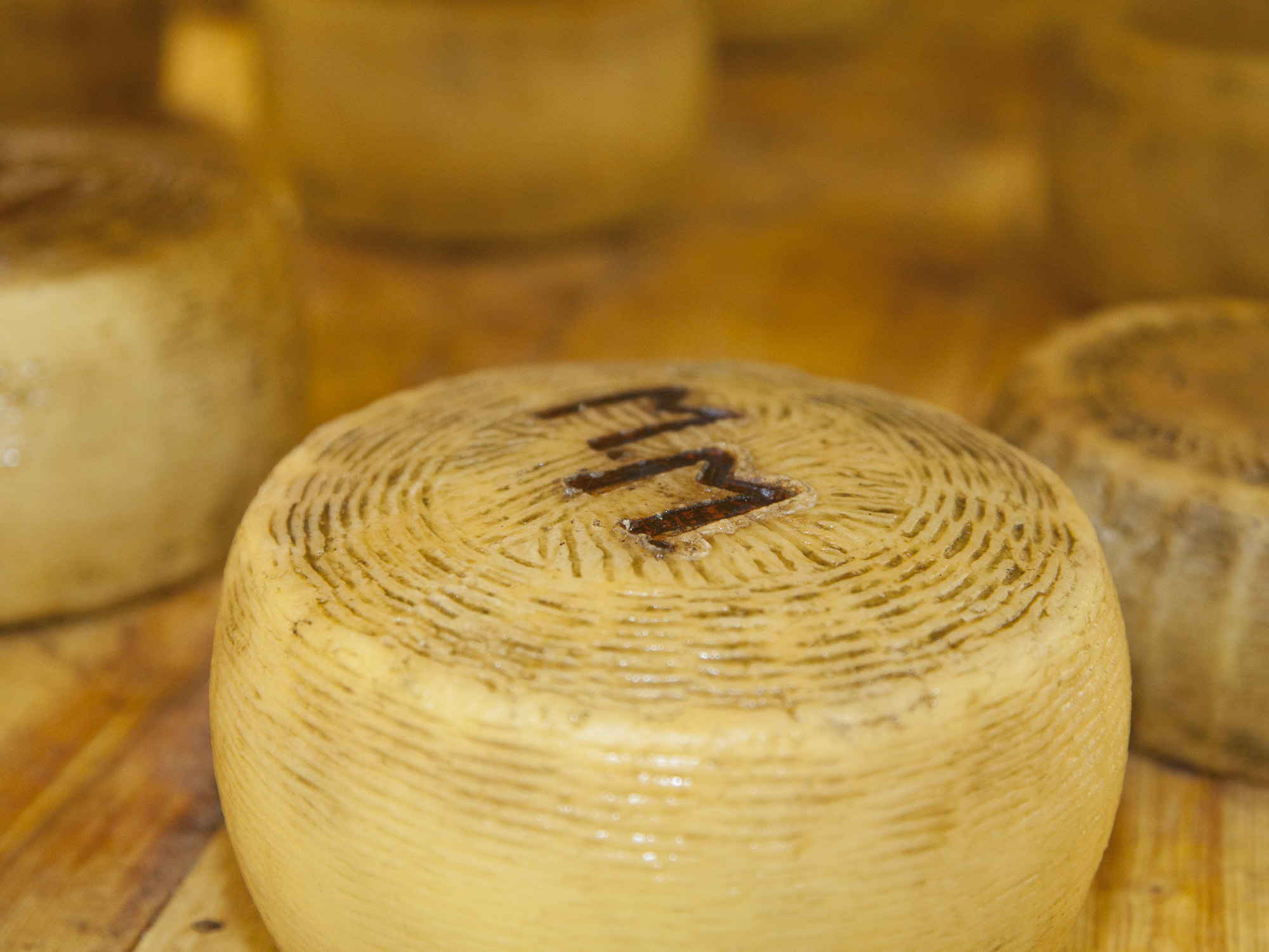 Pecorino ‘Blessed are the Cheese Makers’