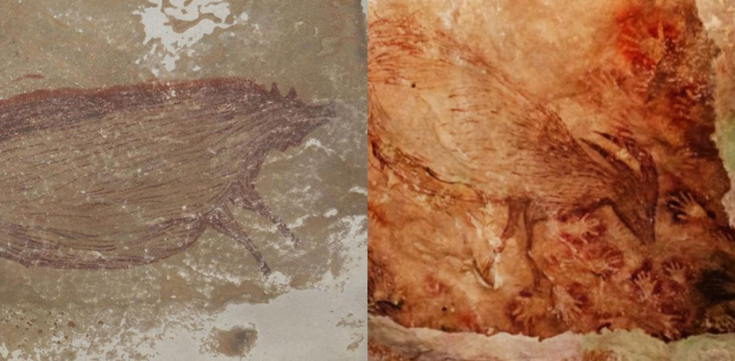 World's Oldest Animal Painting Found In Indonesia