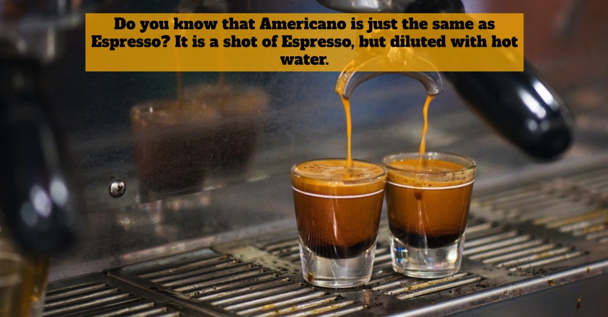 Know These Differences Between The Popular Espresso And Americano