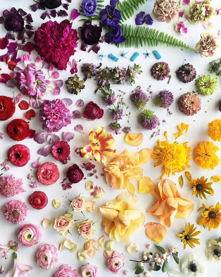 The house of Margot Blair floral design, dal Texas con amore [‘strændɪd]