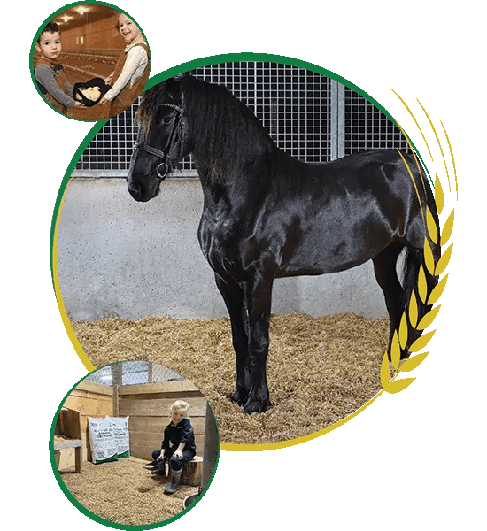 About Us The Straw Boss