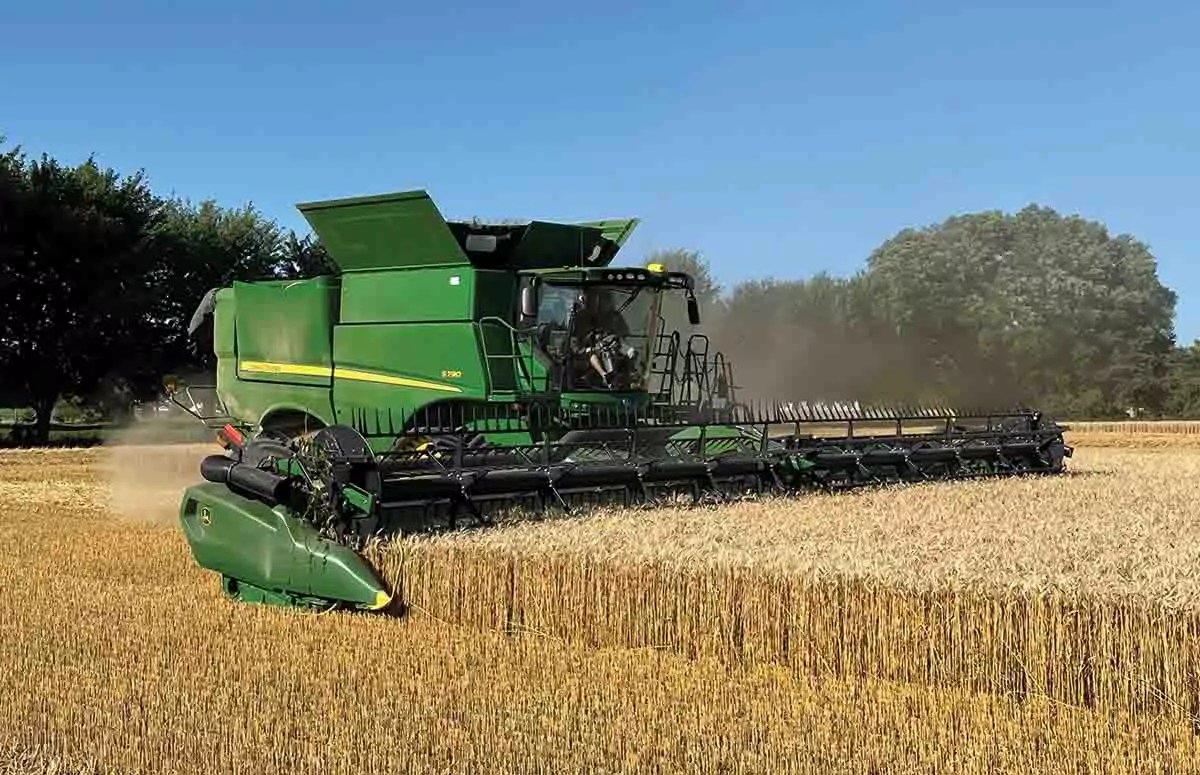 About Us The Straw Boss