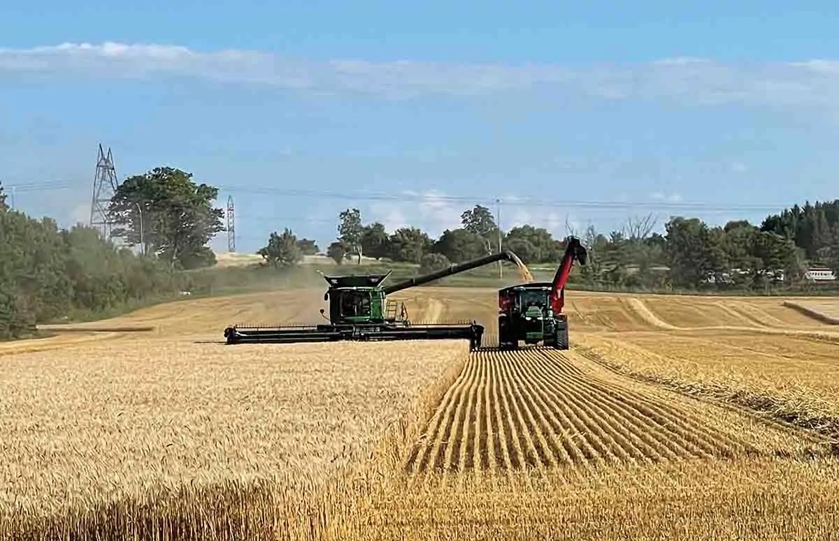 About Us The Straw Boss