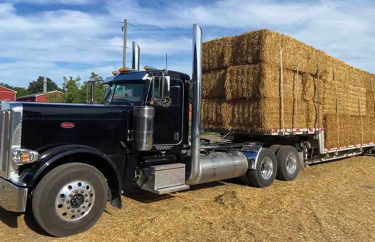 About Us The Straw Boss