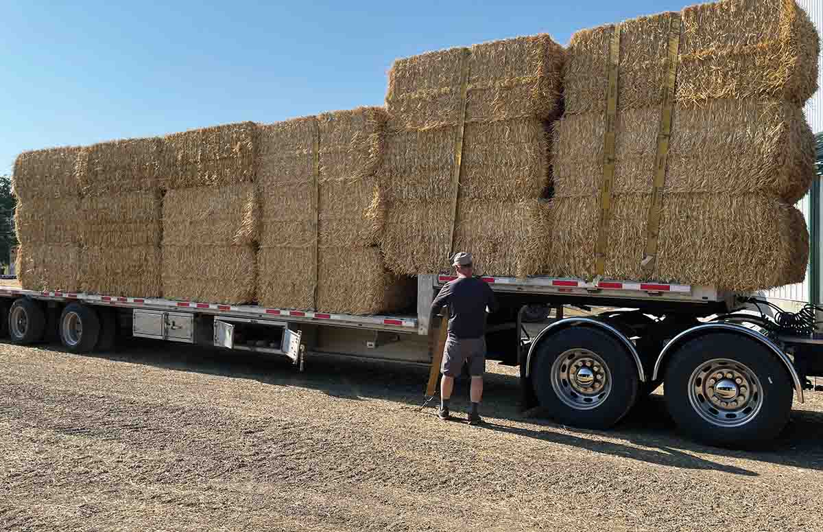 About Us The Straw Boss