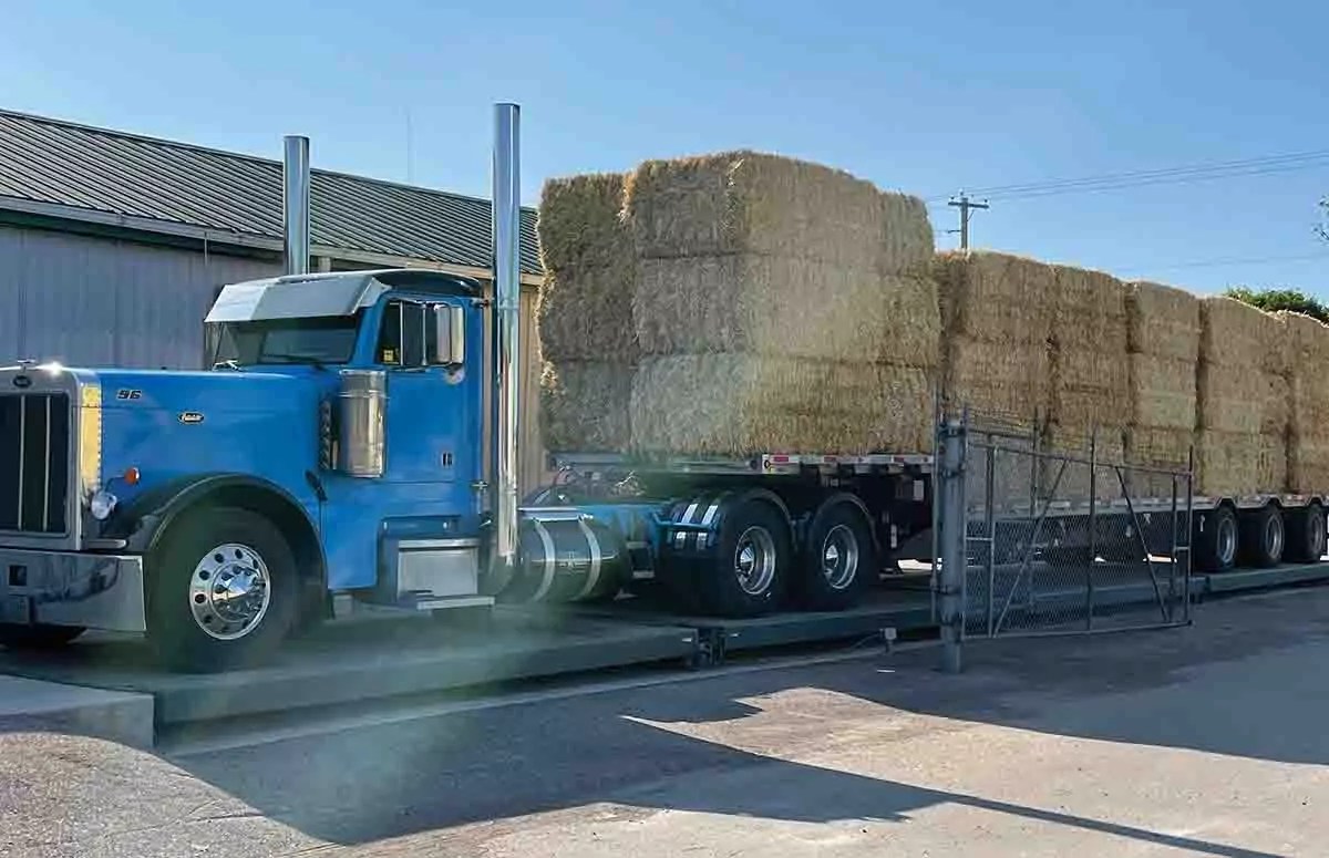 About Us The Straw Boss