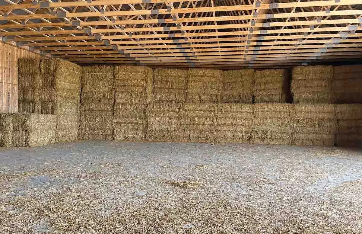 About Us The Straw Boss