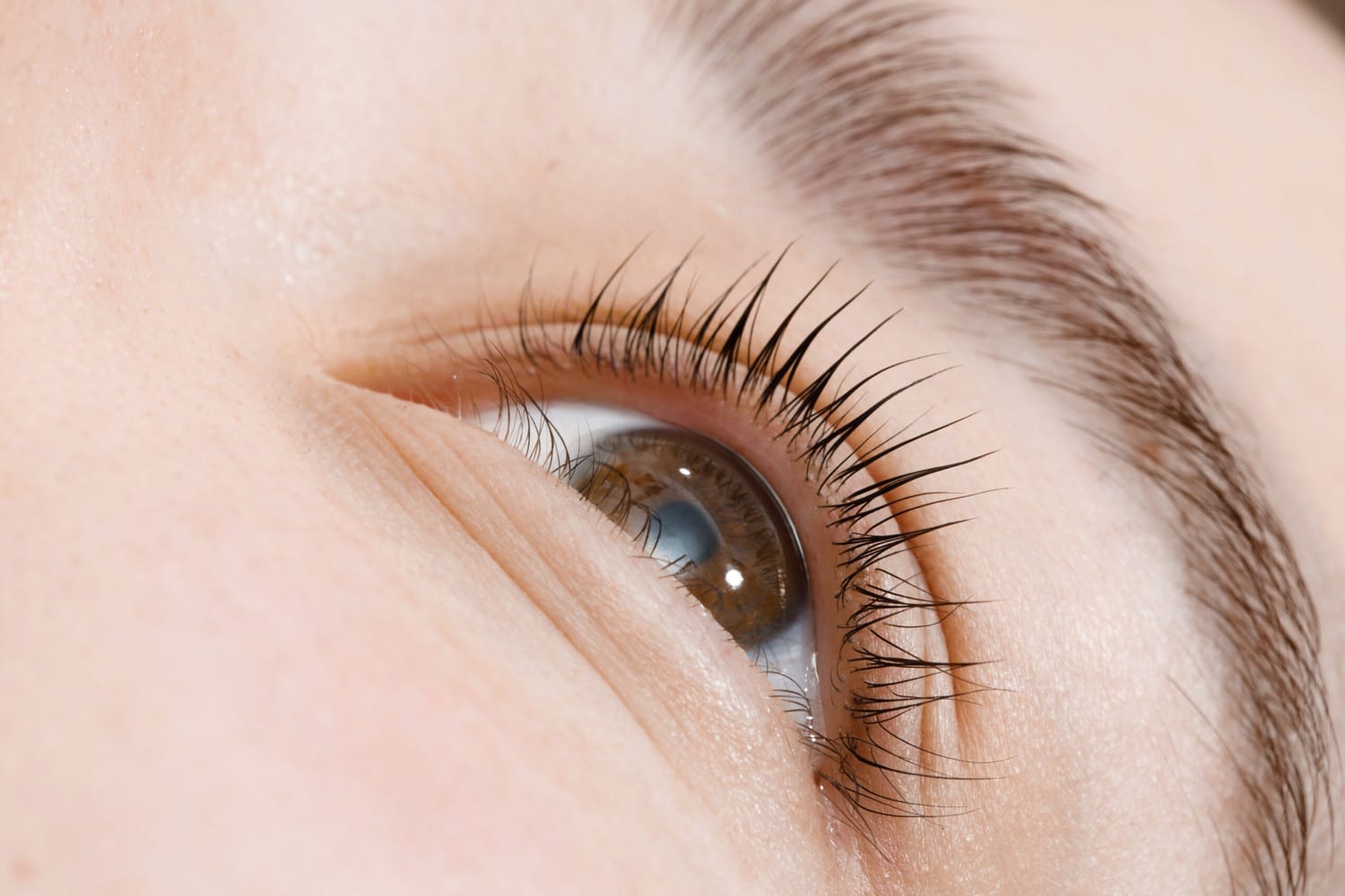 Brows Lashes Waxing Studio Soleil