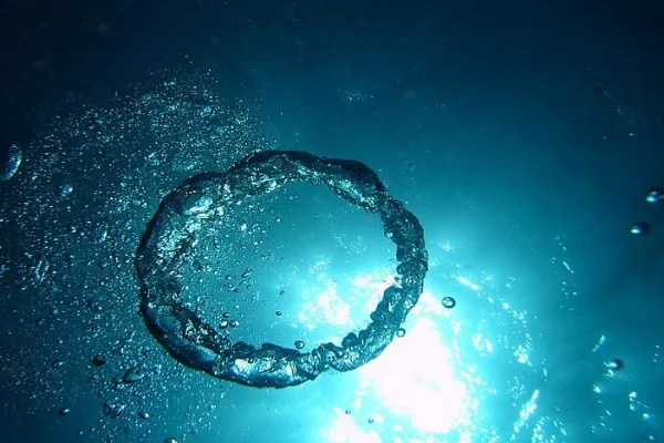 Essay On Value of Oxygen and Water for Students The Study Cafe