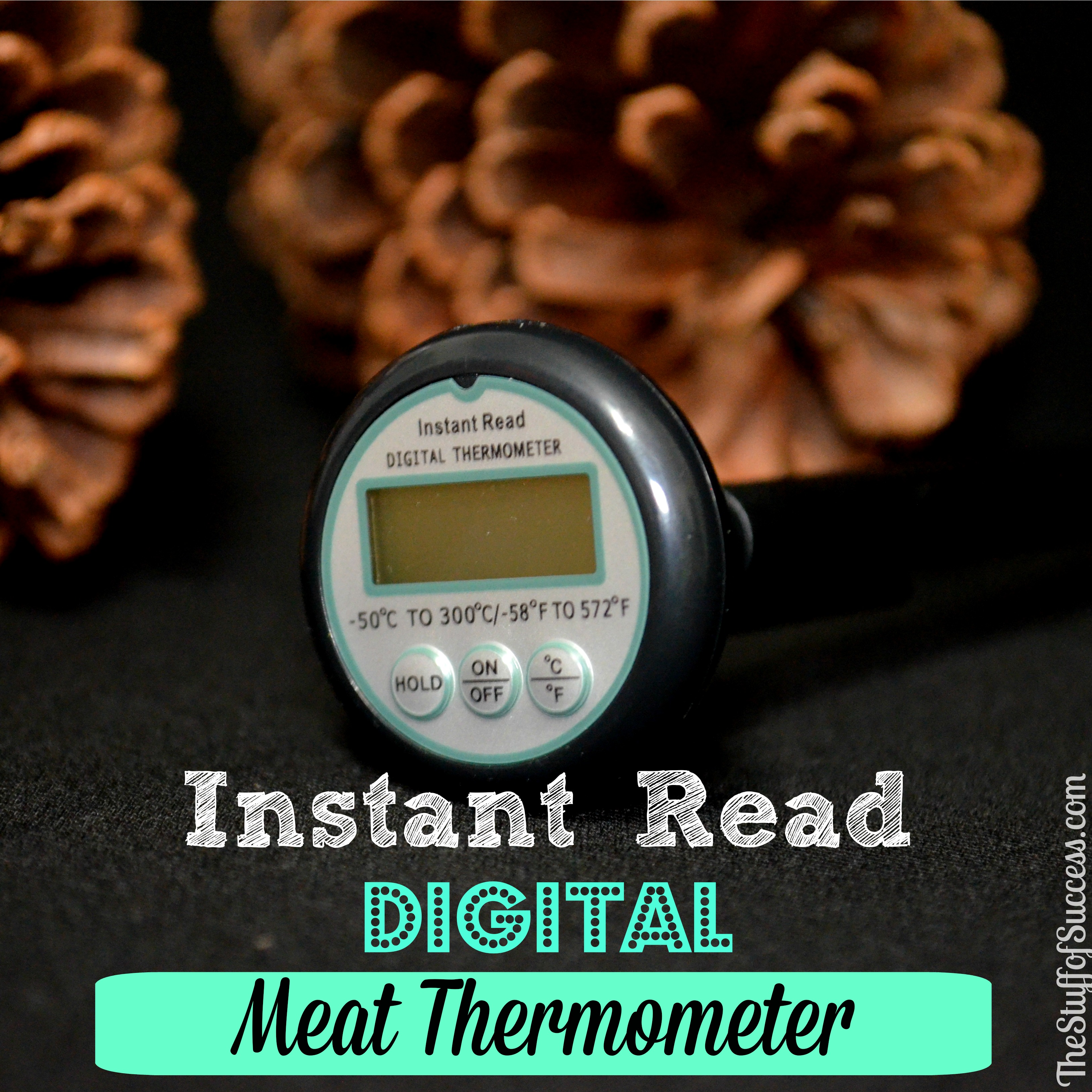 The Instant Read Digital Meat Thermometer Ensures Safely Cooked Meat