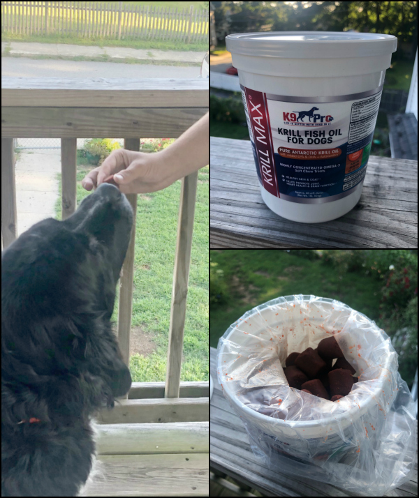 Krill MAX Fish Oil for Dogs ⋆ The Stuff of Success