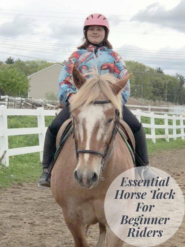Essential Horse Tack For Beginner Riders
