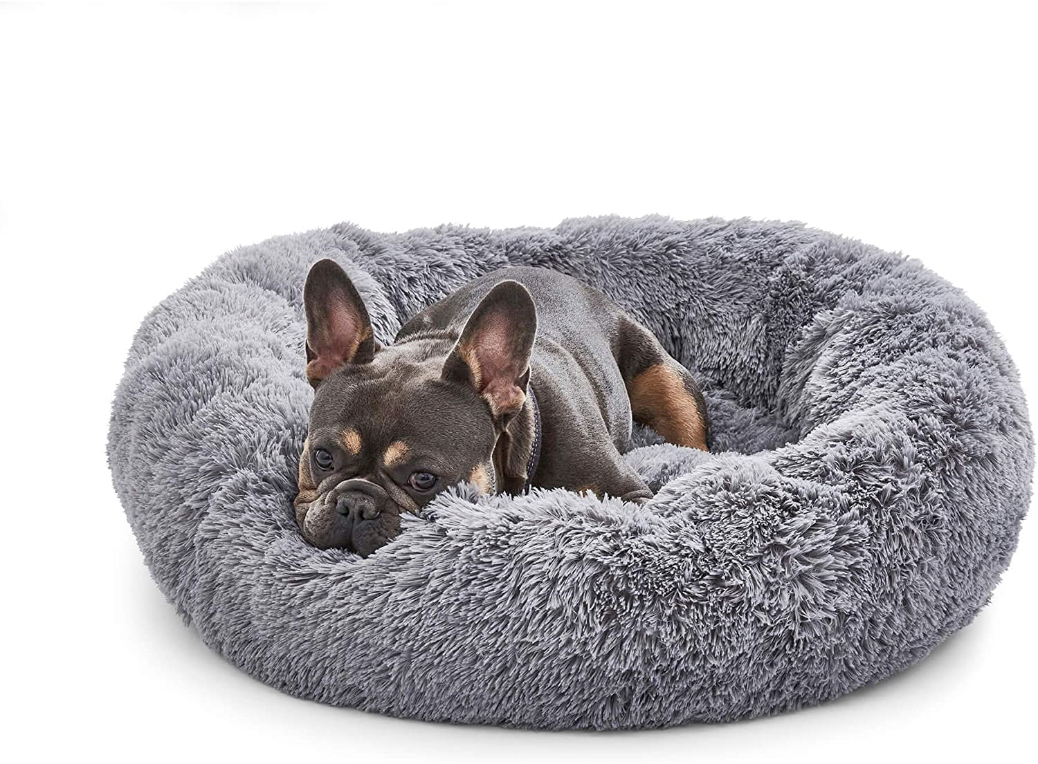 Does your dog need an antianxiety bed?