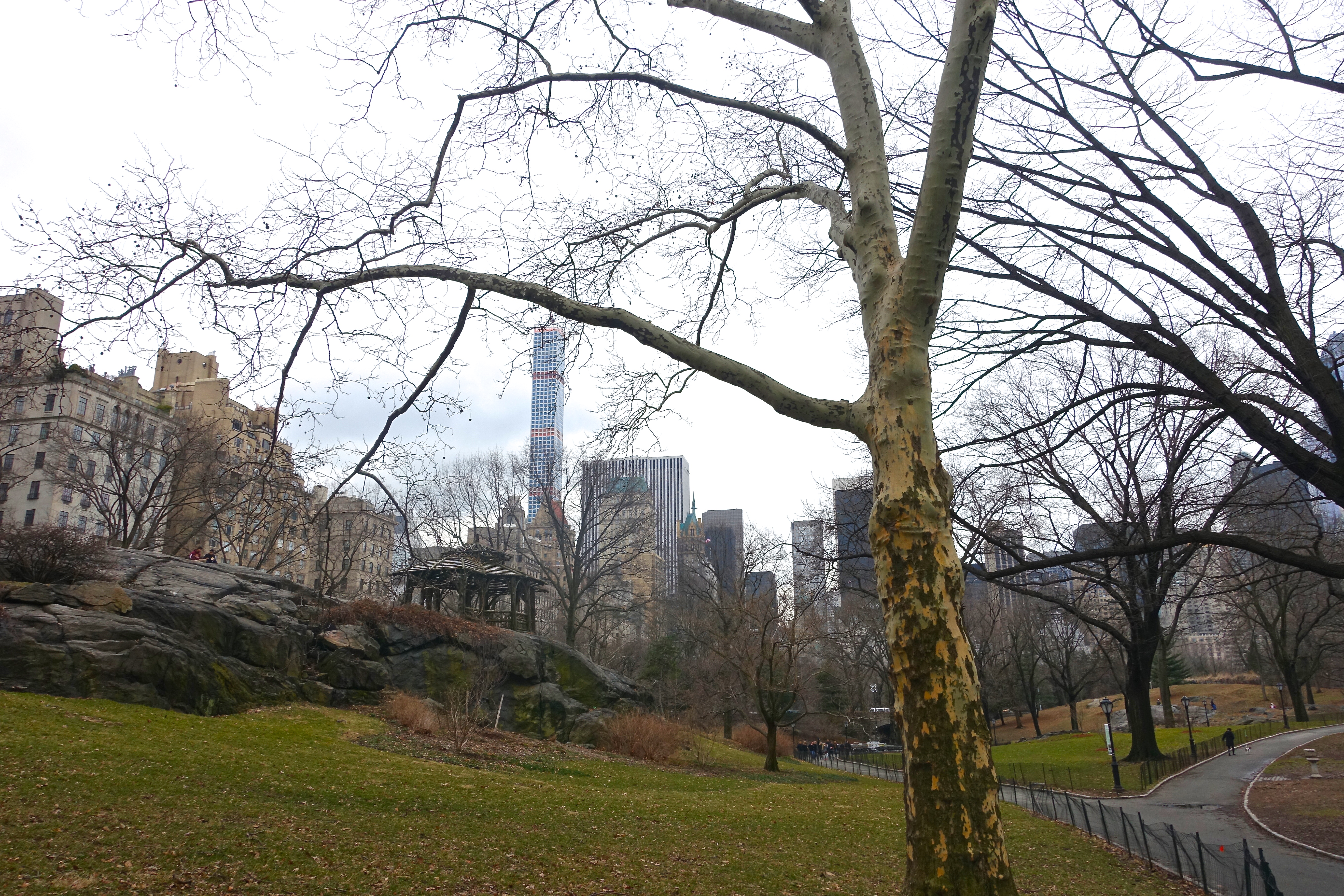 Do New Yorkers Wear Only Black? Um, No!