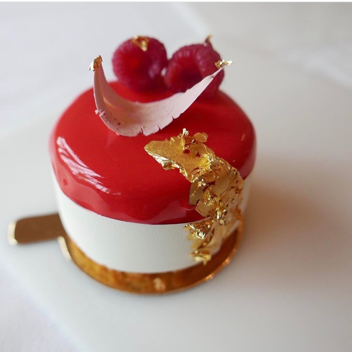 Rhubarb & Raspberry Entremet The Stylish Baker