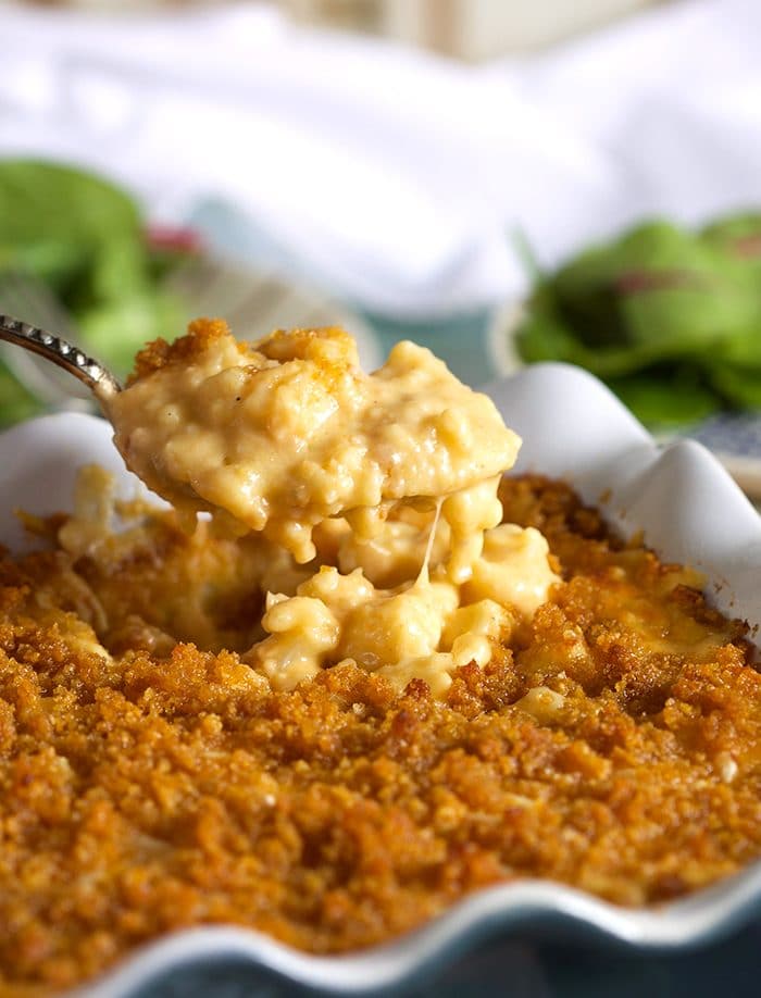 Baked Cauliflower Mac and Cheese Recipe - The Suburban Soapbox